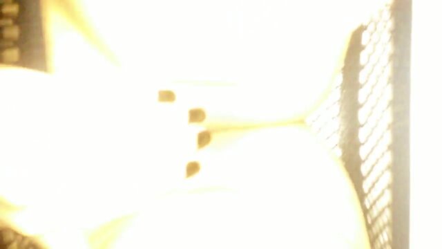 Wife`s Footjob Magic: A Sensual Experience