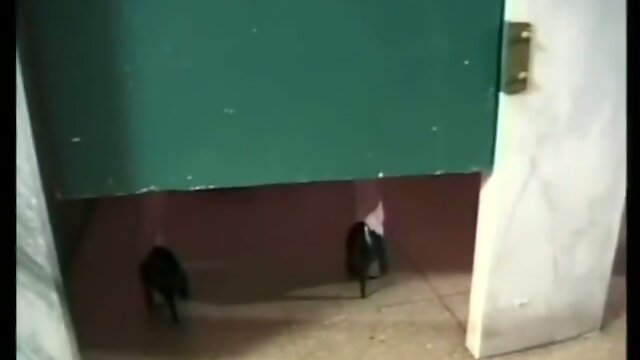 Sweet TS Bathroom Fuck