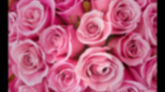 Tribute to a Wonderful Transwoman