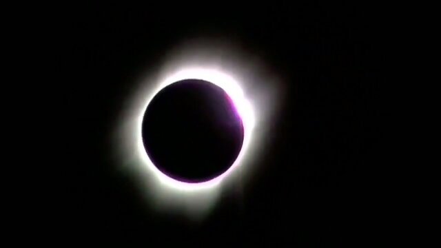 COSMIC SISSY GURLZ 2