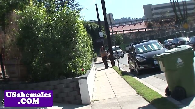 Busty tranny in spex assfucked before facial