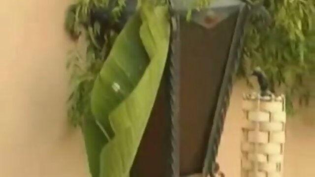 Dirty Blonde Shemale Slut Banged Hard