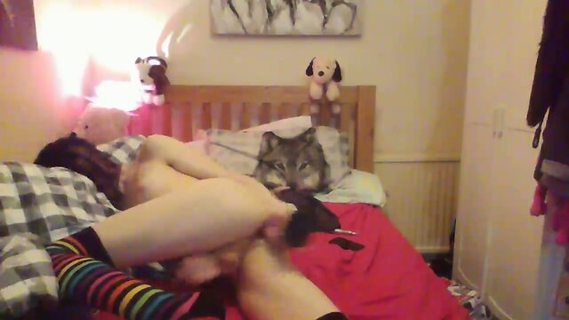 Furry Emo Femboi with Rex