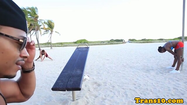 Ebony tgirl pickedup then fucked