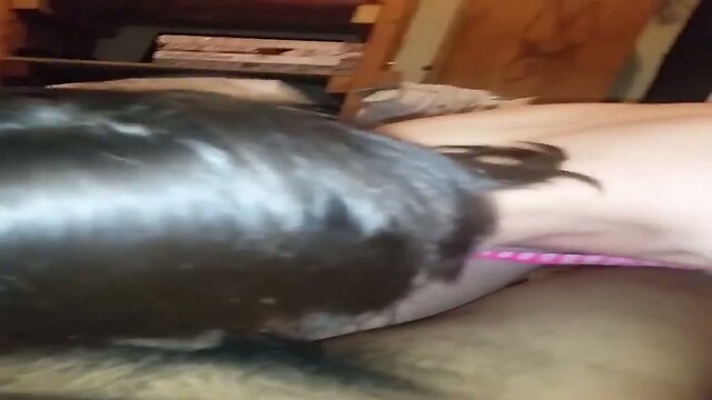 nice little shemale blojob