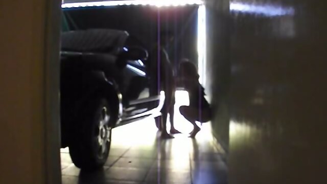 Tgirl Bareback Fucked In Garage