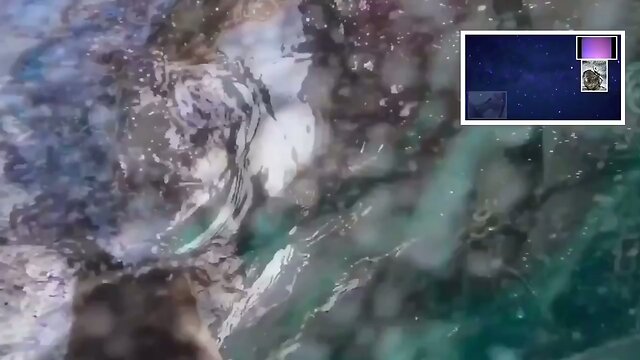 CHAMPAGNE SiSSY SUPERNOVA! 5