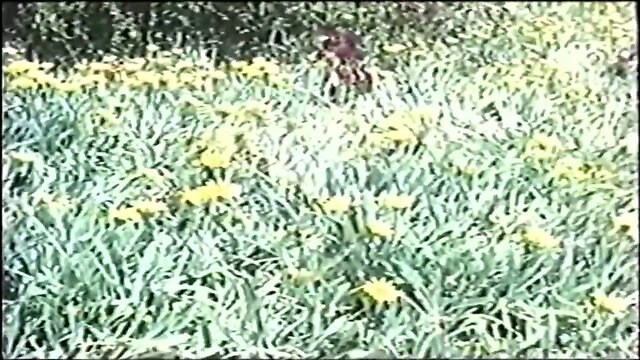 Taken in a Vintage Way: Mystery & Seduction