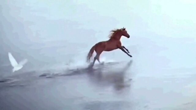 CHAMPAGNE SiSSY SUPERNoVA! 5