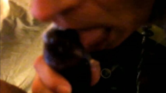 Doggy Style: The Best of TGURL CD Video Hosting