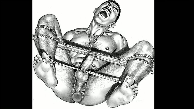 Shemales and women BDSM - BEN