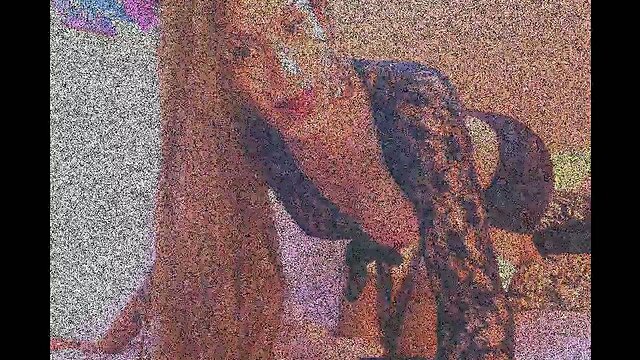 TOP TRANS ITALIA FERNANDA CINTRA