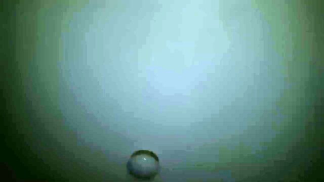 Horny slut talks dirty while getting fucked