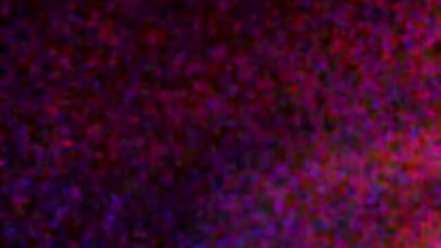 Savor Daddy`s BBC: Black Daddy`s Sucking Sensation