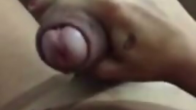 shemale marina ambrosio