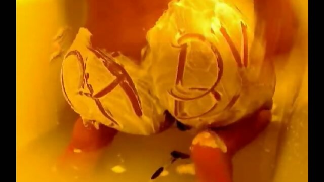 Shemale Ts Baby having fun in shower