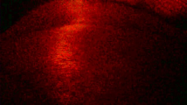 Creamed his dick good