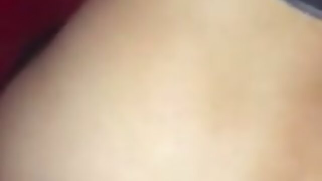 Sizzling Seduction: Turkish Shamele`s Intense Performance