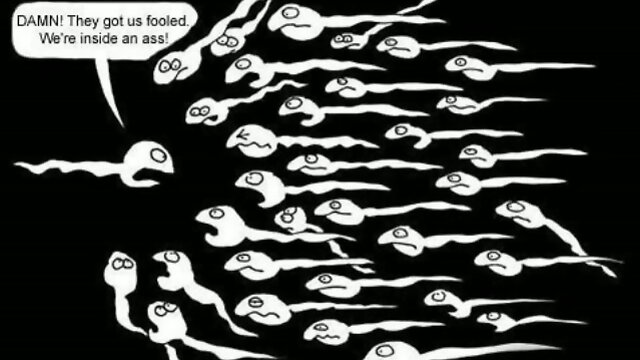 SHEMALE TS SWAG # 16 PANTYHOSE EDITION