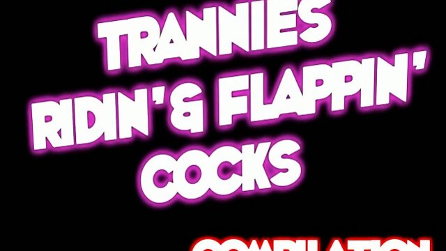 Trannies Ridin' & Flappin' Cocks Compilation 2
