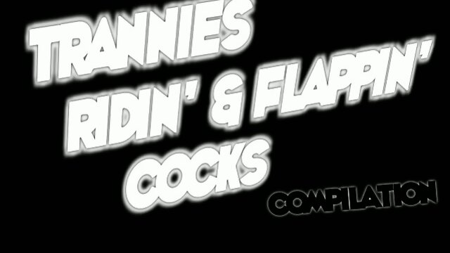 Trannies Ridin' & Flappin' Cocks Compilation