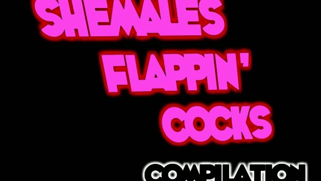 Shemales Flappin' Cocks Compilation 3