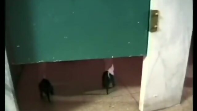 Astonishing Transformation: Shemale Surprise Video!