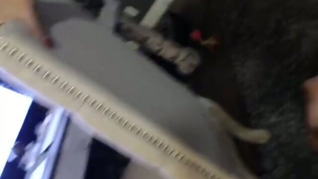 Morgan Bailey: Hot & Steamy Trans Seduction!