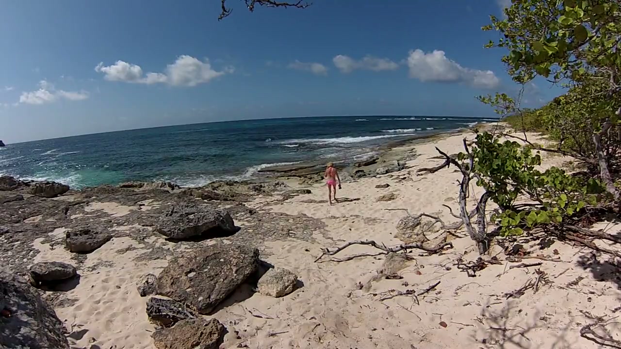 At the wild beach