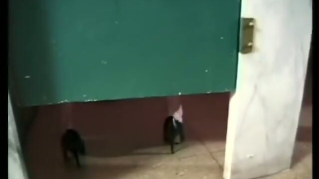 Brandy Scott fucks a guy in the bathroom.