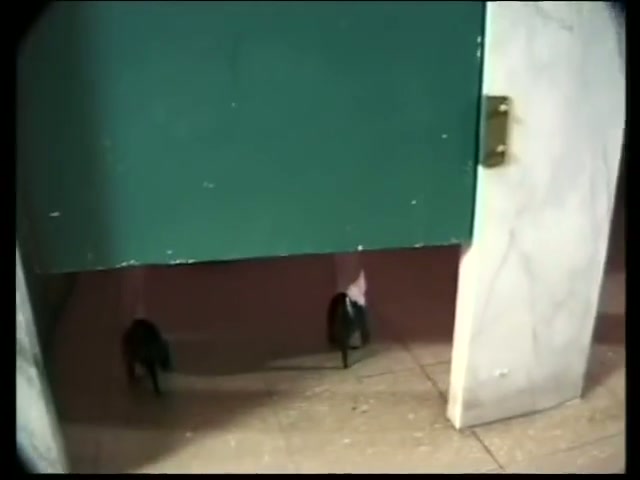 Brandy Scott fucks a guy in the bathroom.