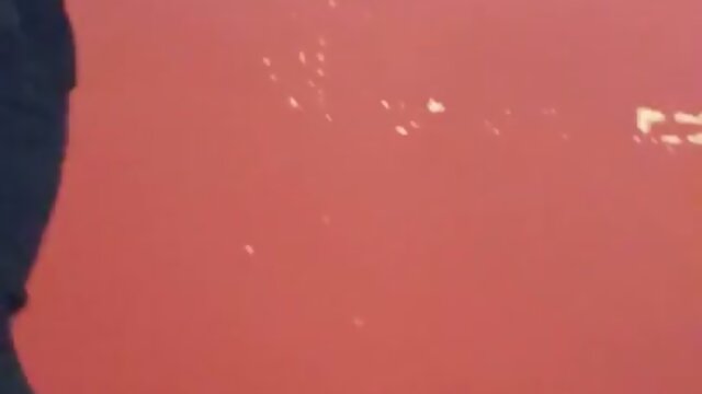 Seductive Shemale Travesti: Feel the Tease & Tantalize!