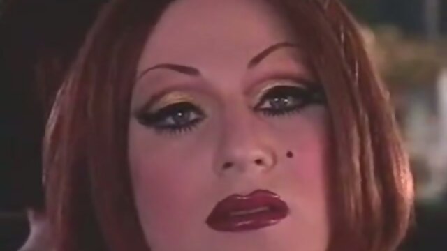 Retro Tranny Orgy: Wild Fun and Adventure!