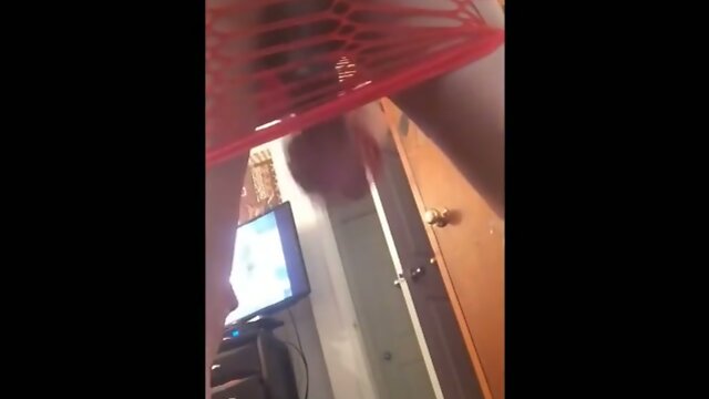 K. Hung Compilation: A Hung-tastic Adventure!