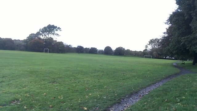 Tranny flashing in park