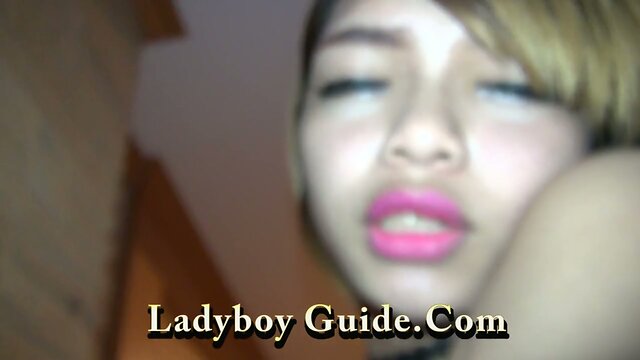 Please Suck Off My Transexual Wife