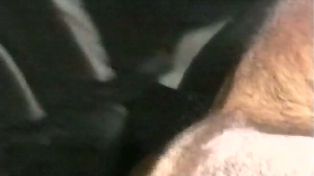 Interview with a Vintage Tranny