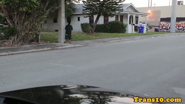 Tranny beauty sucking cock in costume