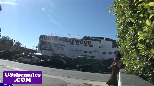 Busty glam tranny assfucked after blowjob