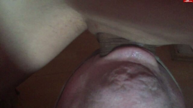 German Amateur TS 23x6