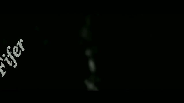 TS dream girlfriend Claudia Fifer