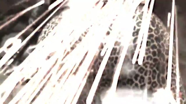 Foxxy Makes Our Motors Run