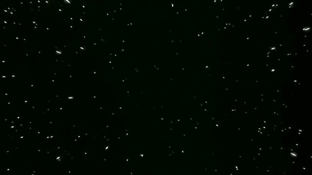 The Sanctity of the Serpent Queens