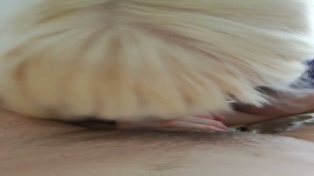 Blonde trans girl sucking a big dick with cumshot