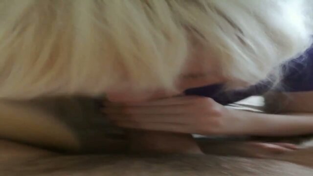 Blonde trans girl sucking a big dick with cumshot