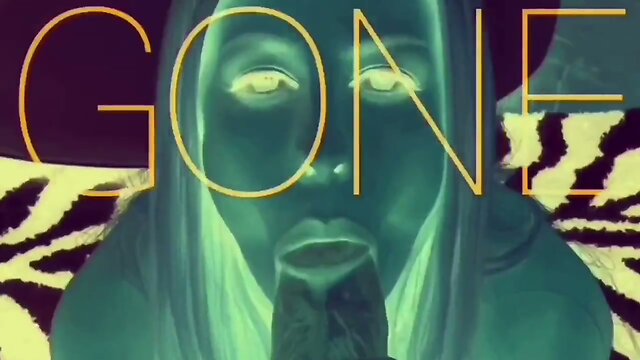 Dispelling the Silence: Ch. 2 Deafened with Diversions