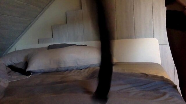 Young crossdresser cums on Nylon