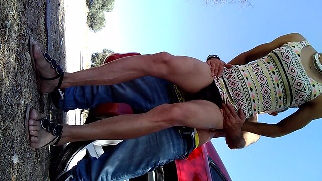 CD Vivian Dennise 2017