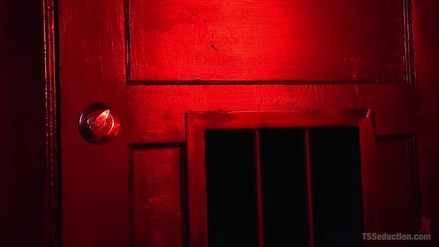 CEO Submits to TS Dominatrix