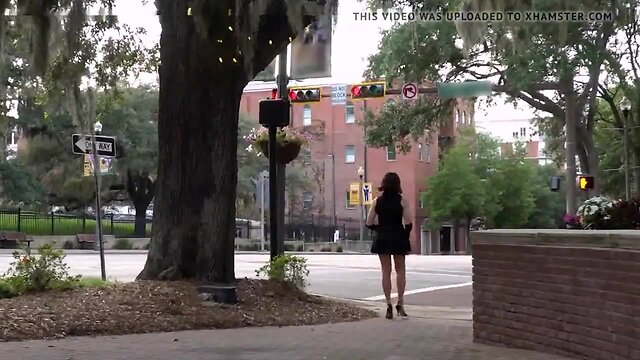 Seductive Shemale Strut: A Sexy Street Walk